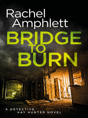 cover image of Bridge to Burn